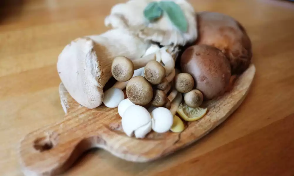 Types of mushroom